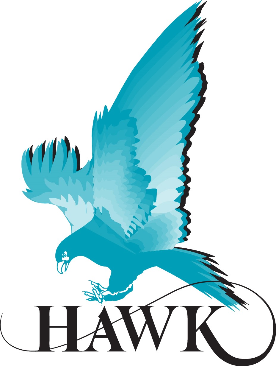 Hawk Measurement logo